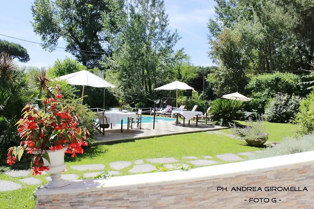 Hotel Nedy Marina di Massa Italie