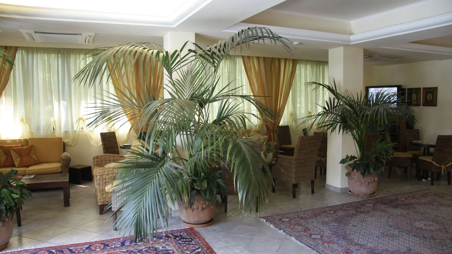 Hotel Nedy Marina di Massa